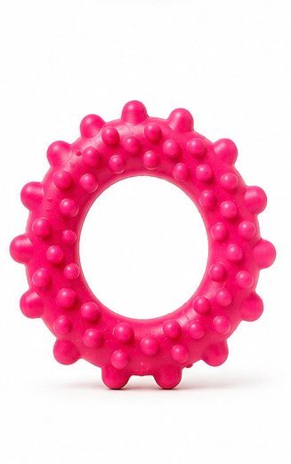Accessories orgo DOG DOG CHEW TOYS ( Purple, Orange, Pink )