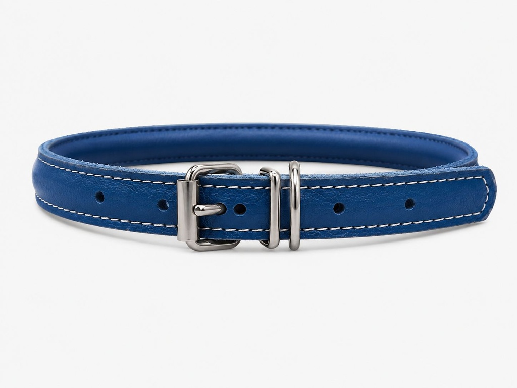 Accessories بيفور Others DOG collar round Elit blue