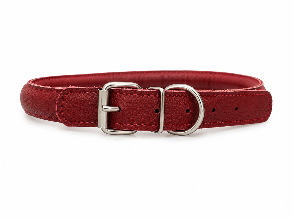 Accessories بيفور Others DOG collar round Elit red