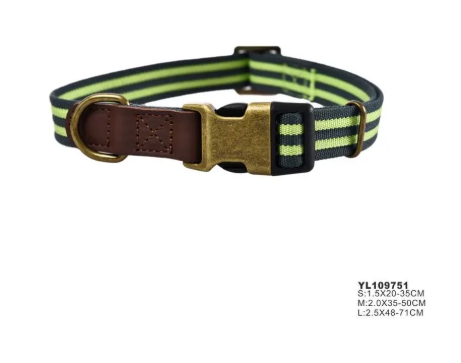 Naomi - Dog Collar - M