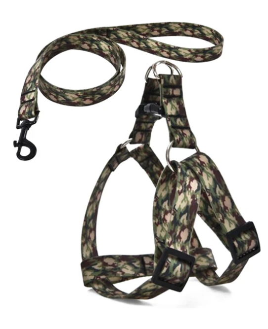 Naomi - Dog Harnees & Leash - M