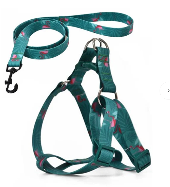 Naomi - Dog Harnees & Leash - S