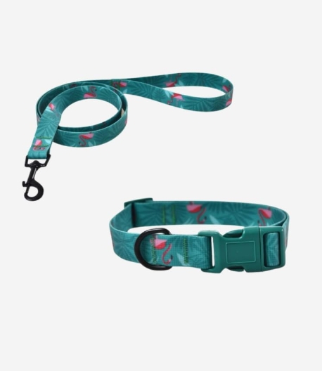Naomi - Dog Leash & Collar - M