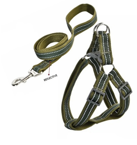 Naomi - Dog Harnees & Leash - S
