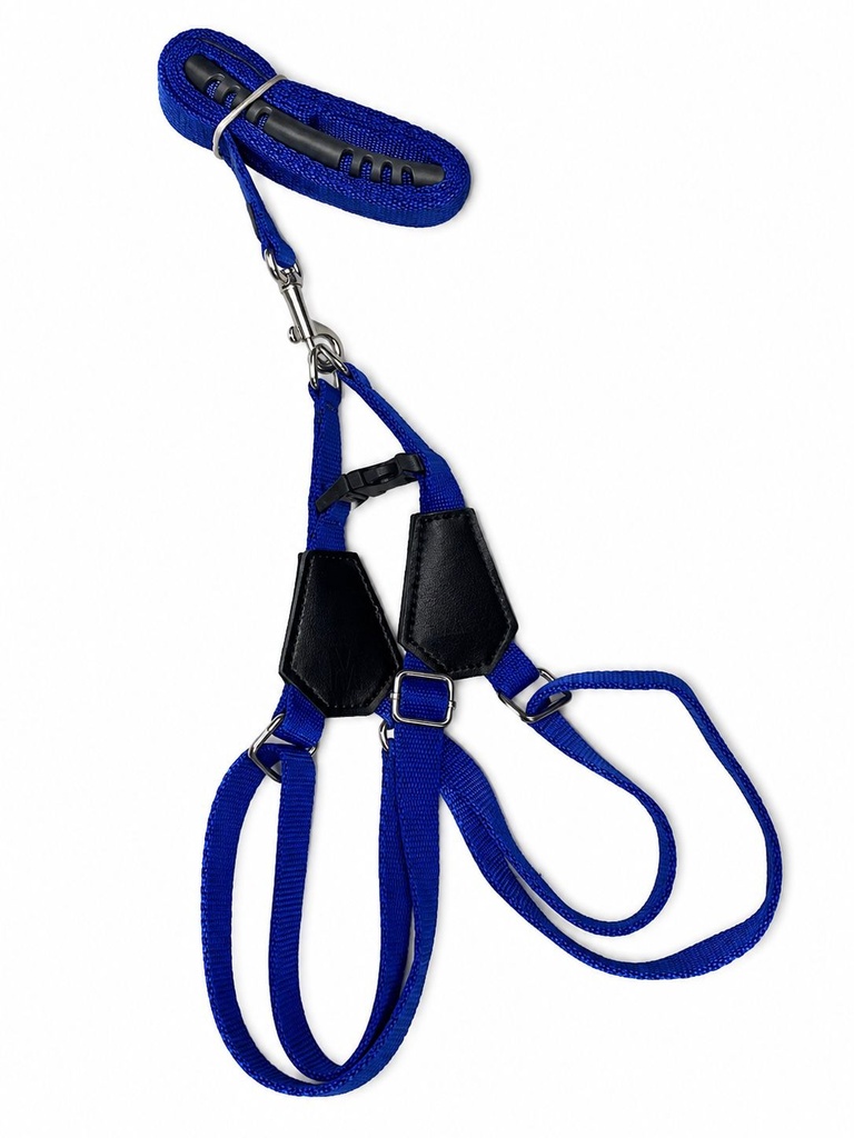 Lino - Harness + Leash - XS