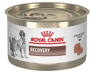 Royal Canin - Can Food - Recovery - 195 gm