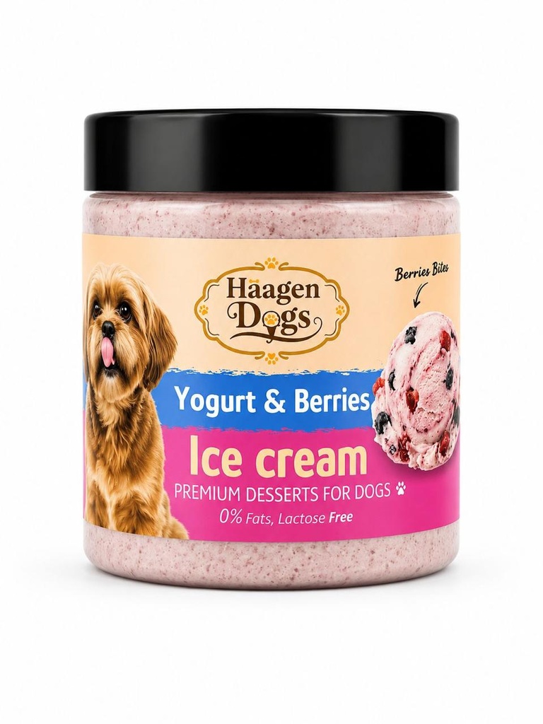 Ice Cream - Yogurt & Barries - 500 gm